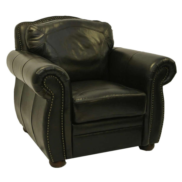 LMT Imports Terraso Stationary Leather Chair XCLGI-D5849-01CHAIR IMAGE 1