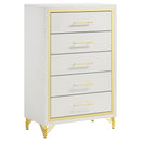  Coaster Furniture Lucia 224731Q-S5 7 pc Queen Panel Bedroom Set IMAGE 6