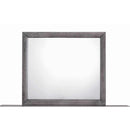 Elements International Emily Grey Dresser Mirror EG100MR IMAGE 1