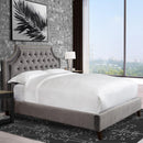 Parker Living Sleep Jasmine BJAS#9000-2-FLN Flannel King Bed