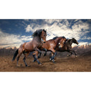 Classy Art Home Decor Wall Art 54896 IMAGE 1