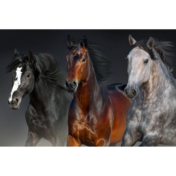 Classy Art Home Decor Wall Art 59889 IMAGE 1