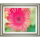 Classy Art Home Decor Wall Art 8240 IMAGE 1