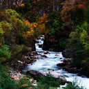 Classy Art Home Decor Wall Art S59548 IMAGE 1