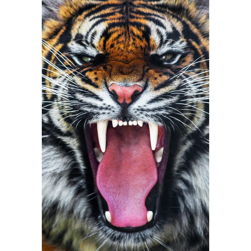 Classy Art Home Decor Wall Art SF1390 IMAGE 1