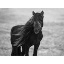 Classy Art Home Decor Wall Art F59862 IMAGE 1