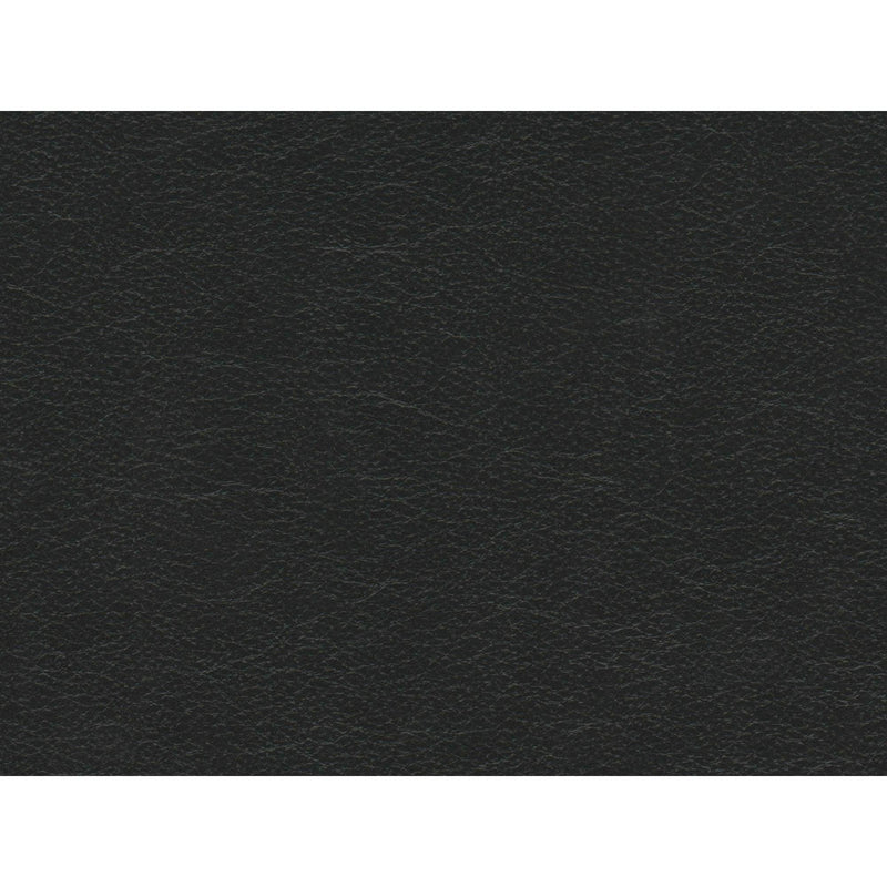 Elements International Hampton Sofa in Fiero Charcoal IMAGE 8