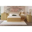  Elements International Sylvie B-16000-6-CH 5-Drawer Chest IMAGE 3