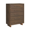  Elements International Brisbane B-16760-5-CH Chest IMAGE 1