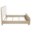  Coaster Furniture Ladera 225081Q 56-inch Queen Panel Bed - Light Elm IMAGE 4