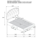  Coaster Furniture Marianna 316011F 4-drawer Upholstered Full Storage Bed - Cream IMAGE 13