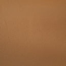 Coaster Furniture Buxton 509502 Top Grain Leather Upholstered Loveseat - Orange IMAGE 9