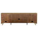  Coaster Furniture Arini 720253 Rattan Cane 2-door TV Stand Media Console - Sand Wash IMAGE 6
