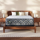  Serta Cascade Canyon Plush Mattress (Twin XL) IMAGE 1