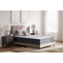  Ashley Sleep Anniversary Edition Plush M42141 King Mattress IMAGE 2